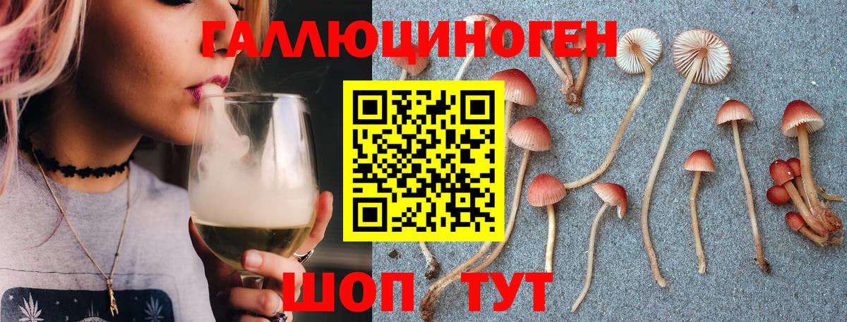 Видное  Галлюциногенные грибы Psilocybe  Вход с VPN 