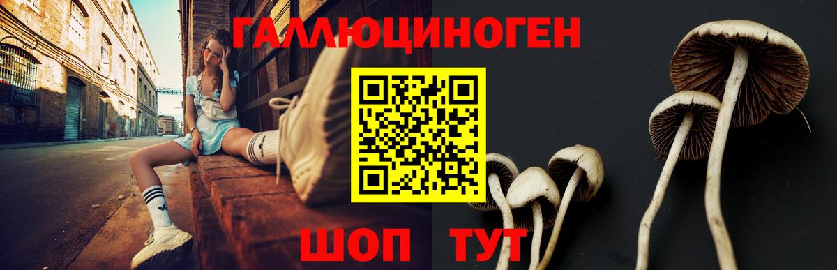 Альфа ПВП Видное